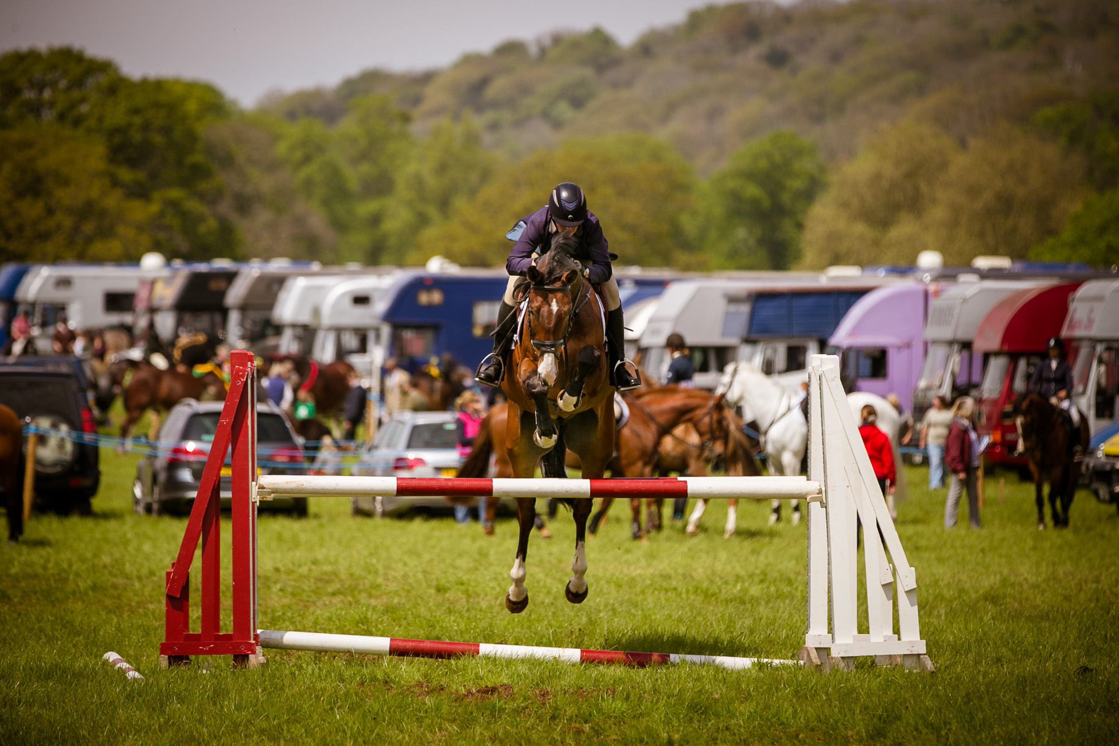 IMG_2905 North Somerset Agricultural Society