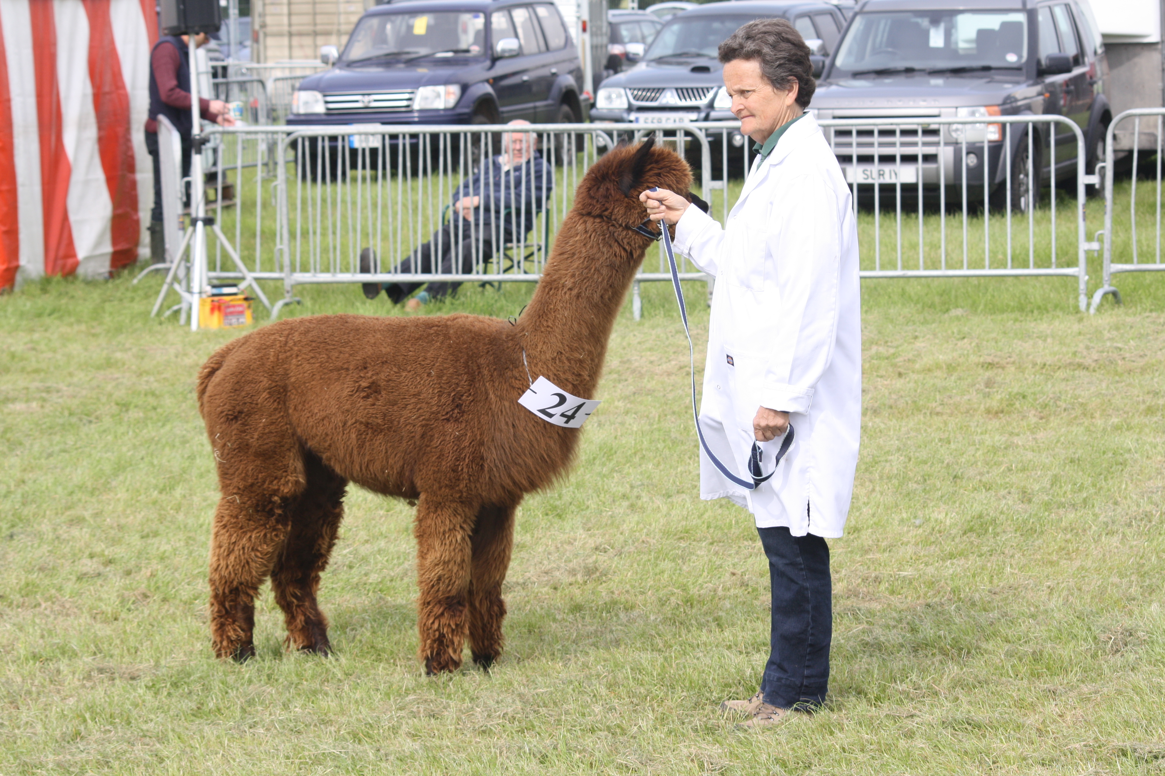 North Som Show 2014 123 North Somerset Agricultural Society