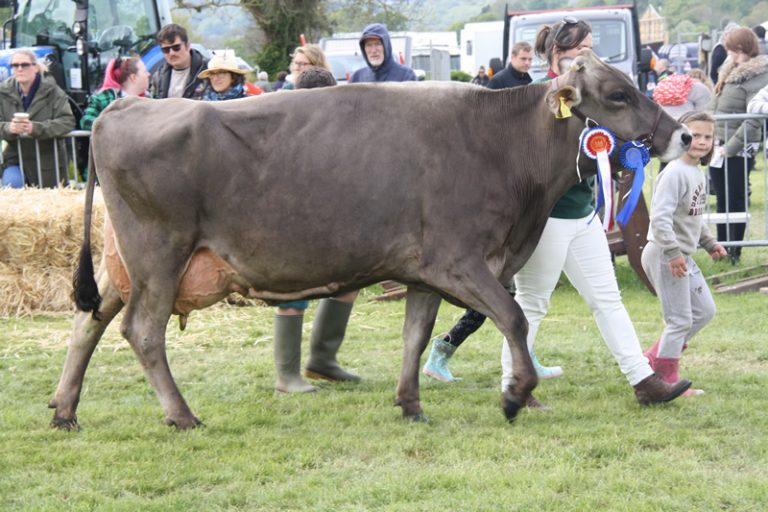 Exhibitors North Somerset Agricultural Society