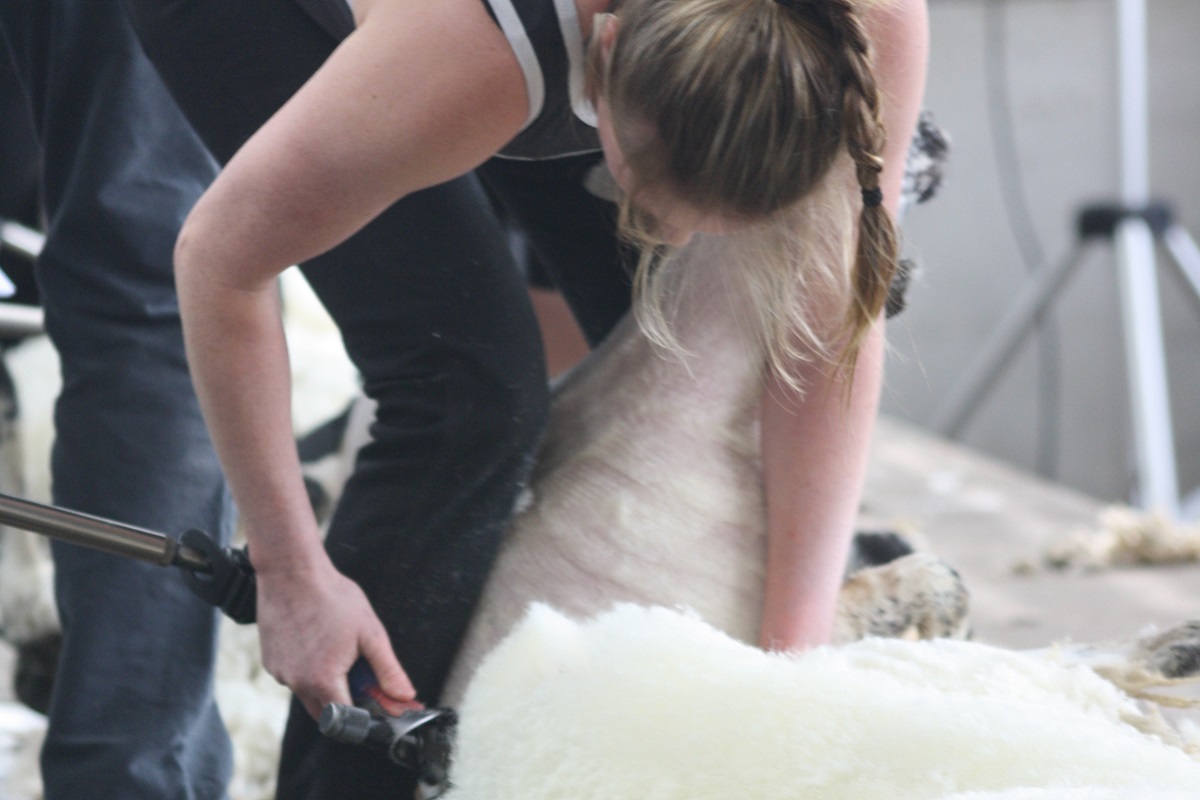 Schedules North Somerset Agricultural Society