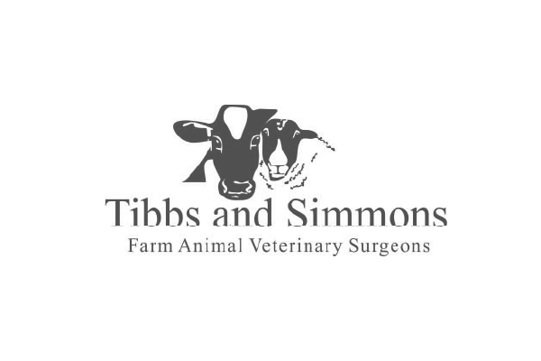 Tibbs and Simmons